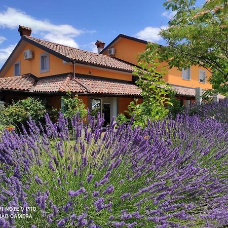 Apartma Lavanda Κόπερ Εξωτερικό φωτογραφία