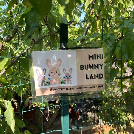 Apartma Lavanda Κόπερ Εξωτερικό φωτογραφία