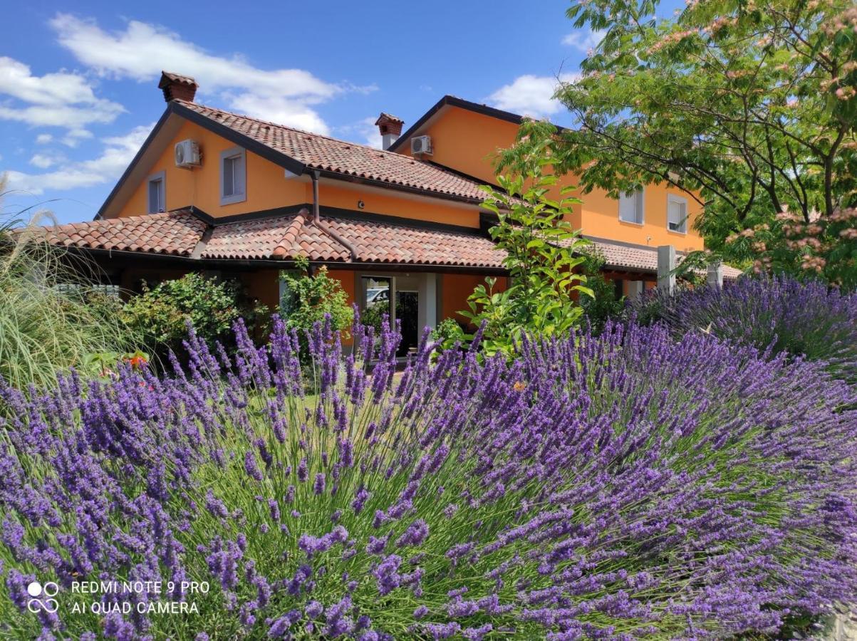 Apartma Lavanda Κόπερ Εξωτερικό φωτογραφία